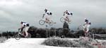 2008-05_BMX_Seb_saut-8-metres_03