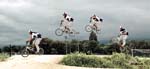 2008-05_BMX_Seb_saut-8-metres_04